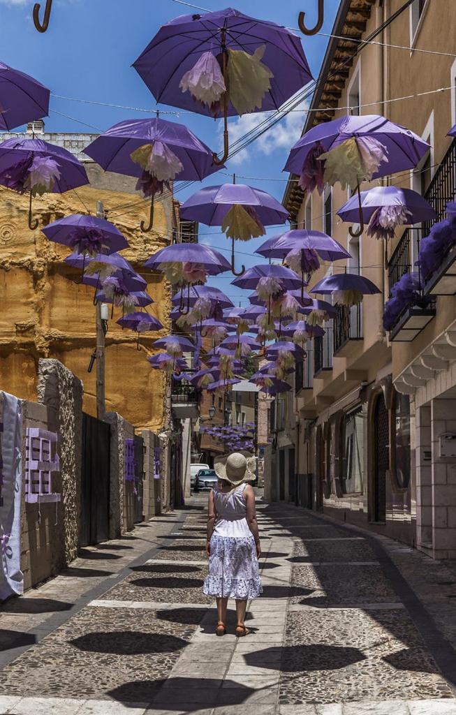 Apartamentos Tierra Lavanda Brihuega Buitenkant foto
